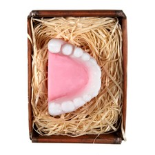 Lustapotheke® handgemachte Seife | Gebiss - Form | mit Geschenkverpackung