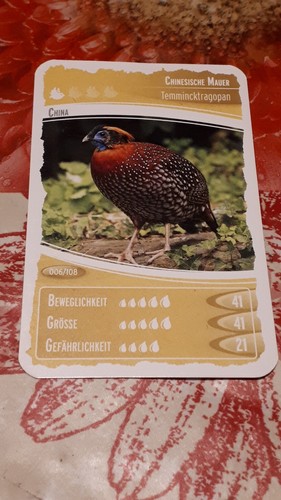 Ozeanien schätze unseres - 7,