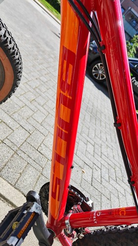 Fahrrad von bulls rot - in,