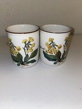 2 X Villeroy und Boch Botanica  Becher Teebecher Kaffeebecher Saftbecher