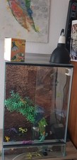 Terrarium aus glas mit - terrarium,