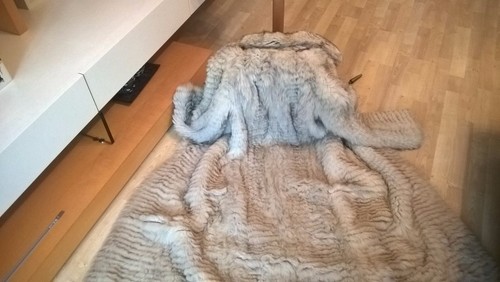 Saga blaufuchs mantel fuchs - saga,