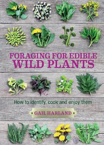 Foraging for edible wild - foraging,