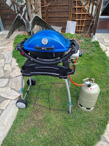 Weber 100 gasgrill mit - q,