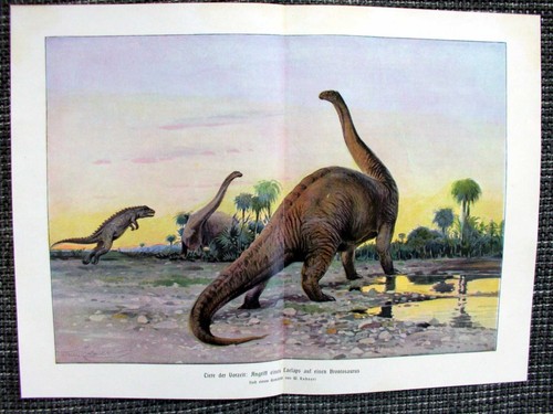 Dinosaurier laelaps gegen - dinosaurier,