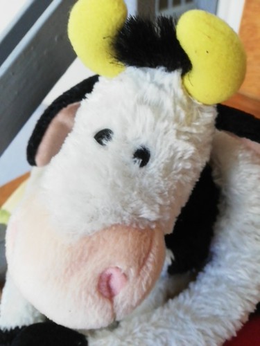 Nici kuh mit - nici,