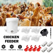 Chicken Feeders and Chicken