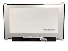 13,3 Zoll FullHD Display B133HAN06.1 B+