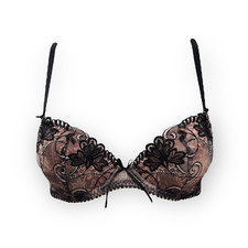 Antinea by Lise Charmel