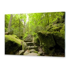 Glasbilder Wandbild Druck auf