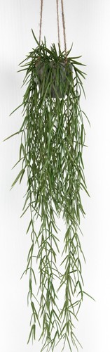 Tillandsienranke hängetopf - im,