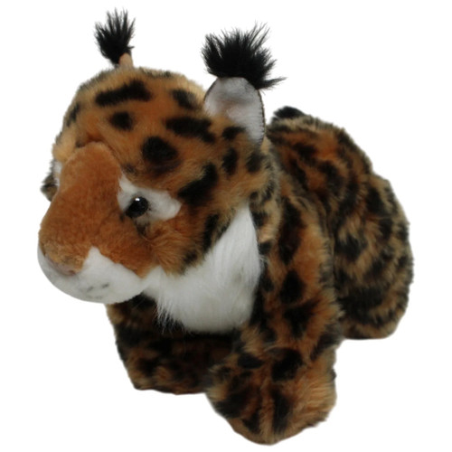 Nature planet luchs - nature,