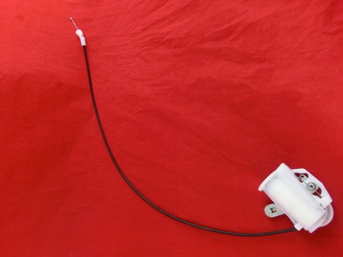 Original miele - original,
