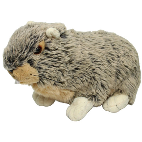 Murmeltier kuscheltier - murmeltier,