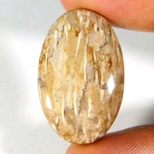 Indonesien VERSTEINER Palmenachat ovale Form NATUR lose Edelsteine 31x20x05...