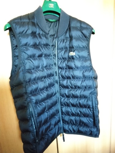 Lacoste steppweste blau - blau, l