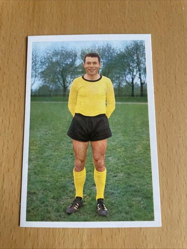 Bergmann 1966 65 geisler - bergmann,