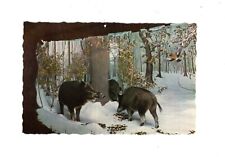 Ansichtskarte Bremen / Überseemuseum / Wildschweine am Futterplatz