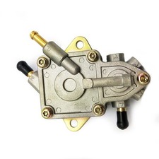 Benzinpumpe für Buyang D