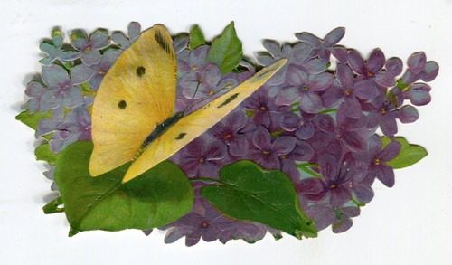 Glanzbilder oblaten scraps - glanzbilder,