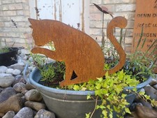 Katze Katzenwäsche zum