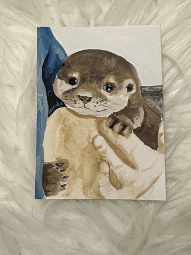 Aceo miniaturgemälde aquarell - aceo,