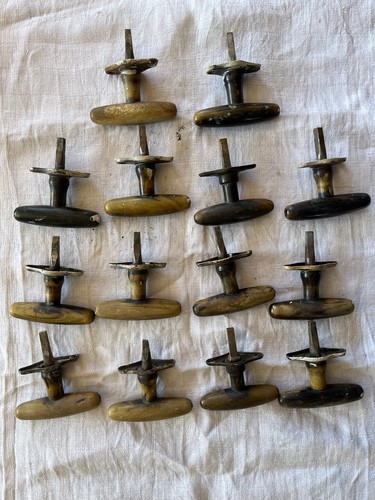 Fensterolive horn 1920er - fensterolive,