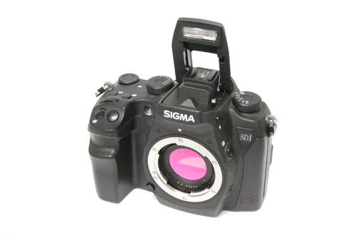 Sigma sd1 merrill gehäuse - sigma,