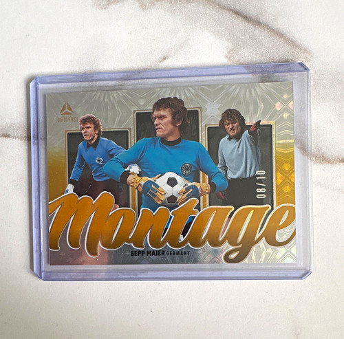 Panini dfb luminance montage - dfb,