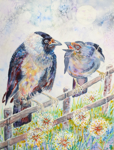 Nebelkrähe mit küken - nebelkrähe, 24x32
