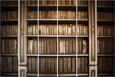 Schiebegardinen Set Altes