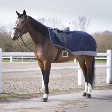 Equi-Théme TYREX 600D