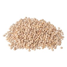 5 kg Kirschkerne Lose für