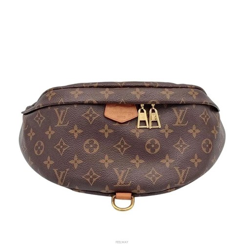 Louis vuitton monogram - louis, bag