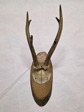 Rehgehörn auf Holzbrett –