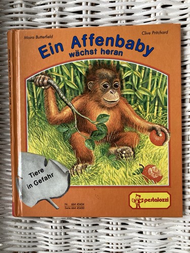 Ein affenbaby wächst heran - affenbaby,