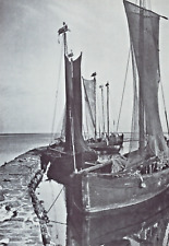 Nidden/ Nida- Kurenkähne im