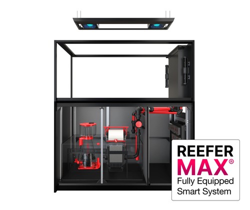 Red sea reefer peninsula - red,