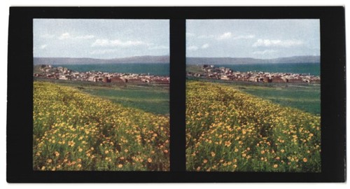 Stereo-Fotografie