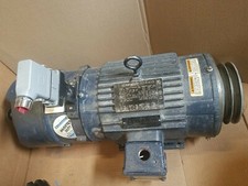 Marathon Electric Bluemax