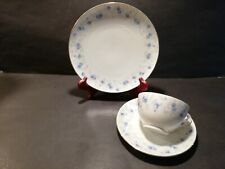 Bavaria Schumann Arzberg