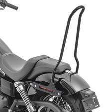 Defekt: Sissybar für Harley