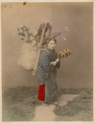 Albumen fotoalbum damen blumen - albumen,