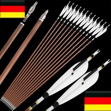 12X 31Zoll Carbonpfeile