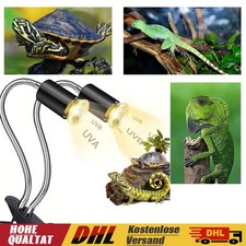 Terrarium Beleuchtung UVA UVB