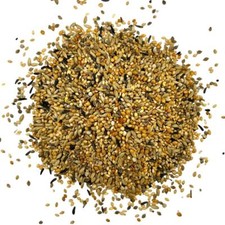 Exotenfutter Finkenfutter