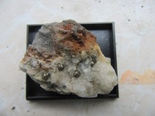 Mineralien, Pyrit Kugeln auf Quarz von Capnik Rumänien in Dose 4 x 3,5 cm
