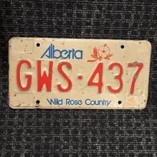 Original Nummernschild