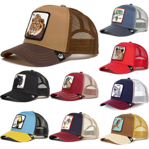 Tier cartoon snapback - tier,