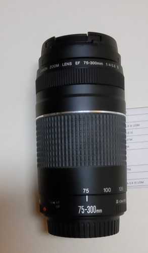 Foto canon objektiv - foto,